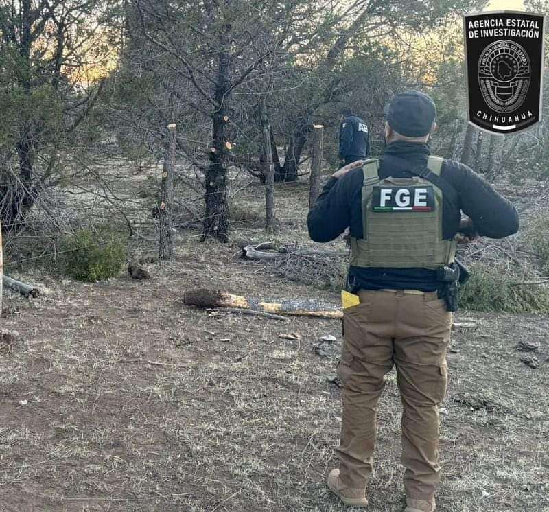 Localizan restos óseos en un rancho del municipio de Madera La