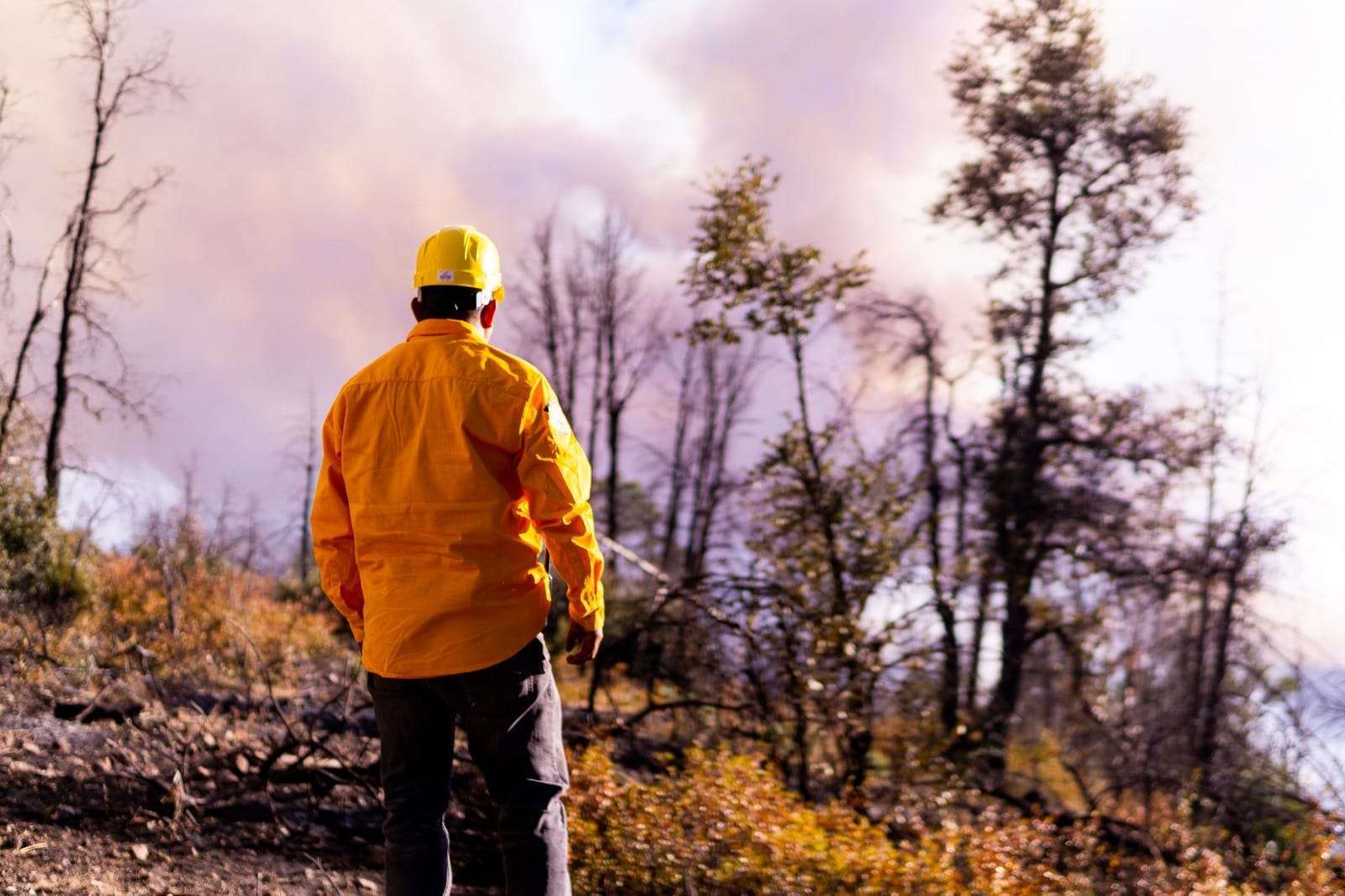 Fallece combatiente de incendio forestal en Casas Grandes